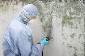 Best Commercial Mold Inspection in Branson, MO